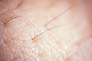 Extreme close up of very fine hair